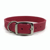Butter soft grain leather collar in a hot flamingo colour from Style Hound-back view