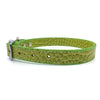 Mock crocodile leather collar in Green from Style Hound - Side view