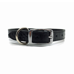 Mock crocodile leather collar in Black from Style Hound - back view