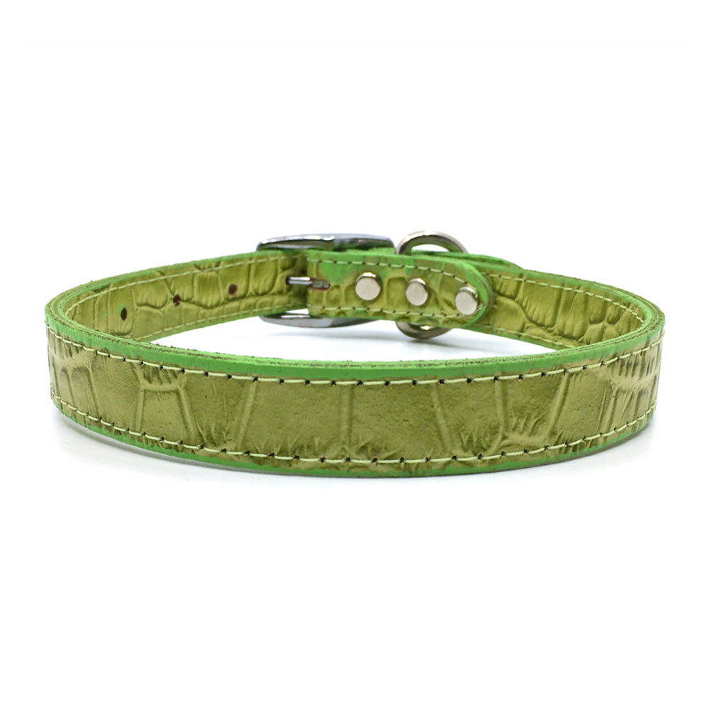 Mock crocodile leather collar in Green from Style Hound - front view
