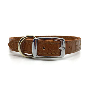 Mock crocodile leather collar in Mocha from Style Hound - back view